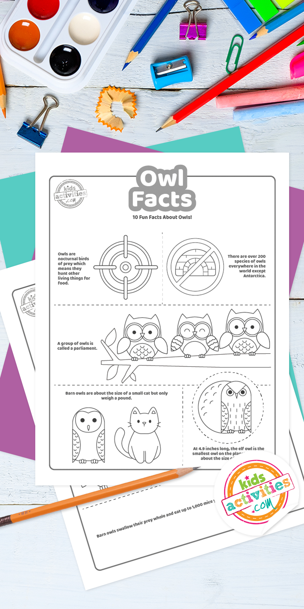 Screenshot of a black and white owl Facts.