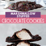 Pin image with text for the marshmallow filled chocolate chip cookies