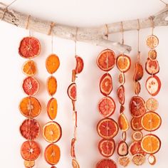 Dried Orange Ideas Garland 17