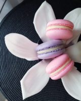 Small Desserts Made With Love and Macaron 10