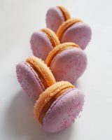 Small Desserts Made With Love and Macaron 361